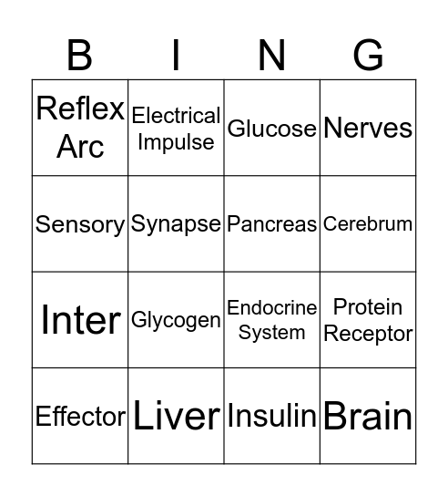 Control and Communication Bingo Card
