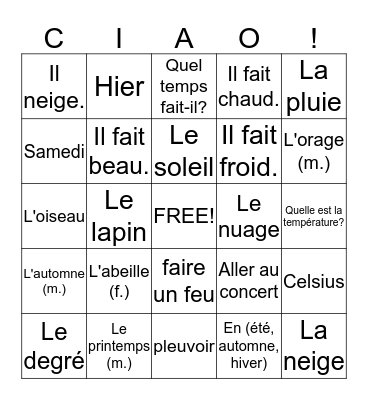 French : Unit 9B (Weather) Bingo Card