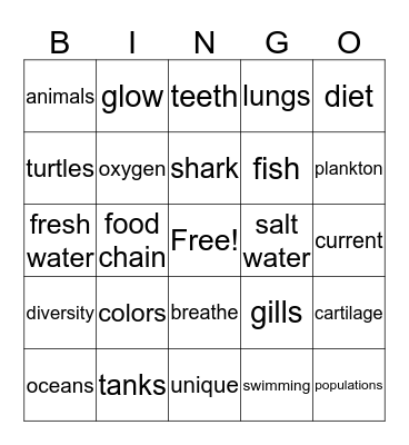 Shark Facts Bingo Card