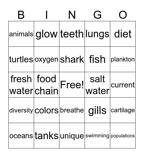 Shark Facts Bingo Card
