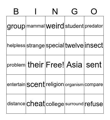 Spelling Bingo Card