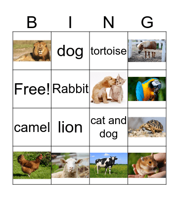 Animal bingo Card