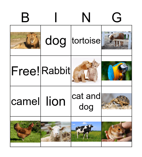 Animal bingo Card