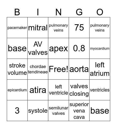 Cardiovascular System Bingo Card