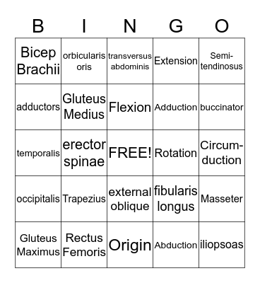 MUSCULAR SYSTEM Bingo Card