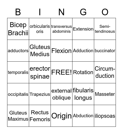 MUSCULAR SYSTEM Bingo Card