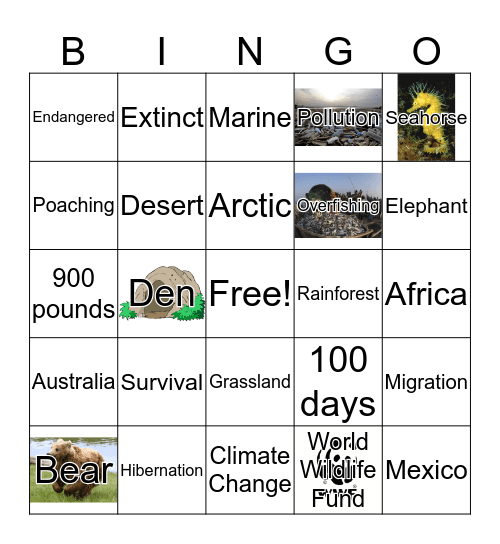 taiga biome animals Bingo Card