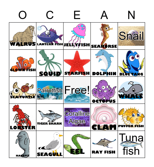 OCEAN BINGO Card