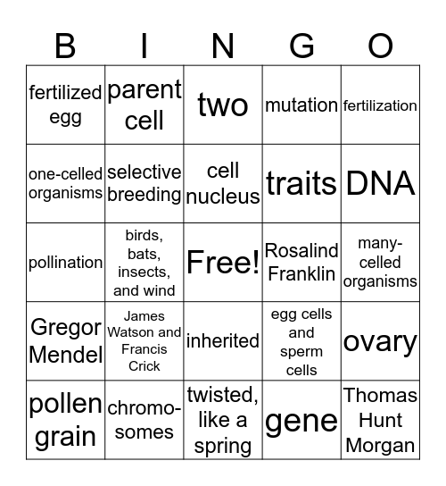 Heredity Bingo Card