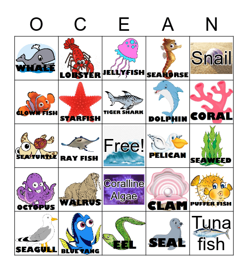 OCEAN BINGO Card