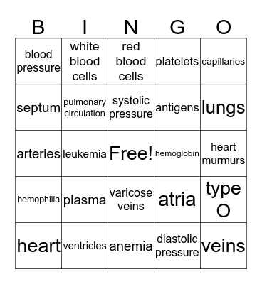 Cardiovascular System Bingo Card