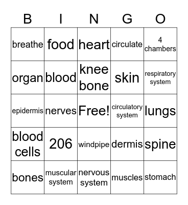 Human Body Systems Bingo Card