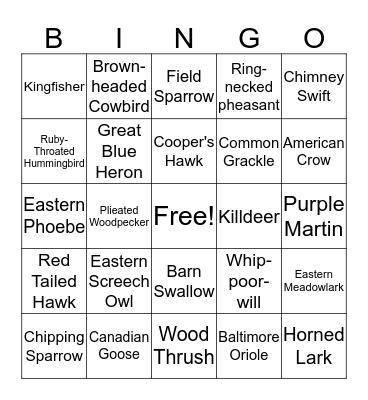 Ohio Birds Bingo Card
