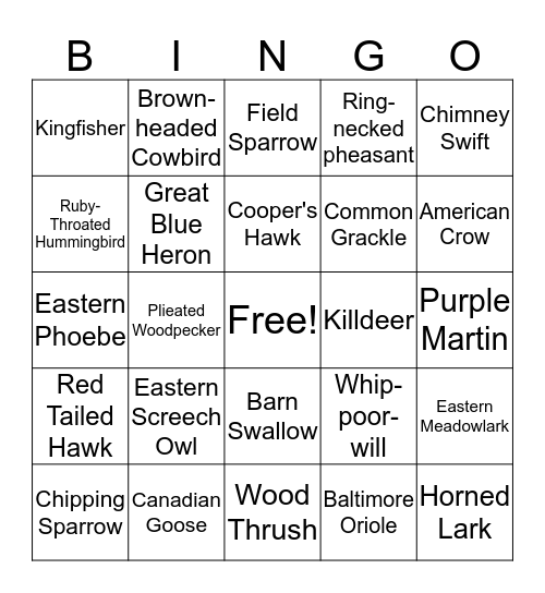 Ohio Birds Bingo Card