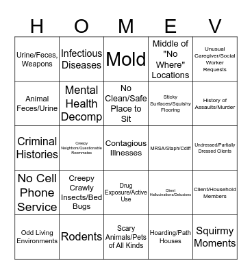 Home Visit Hazards Bingo Card