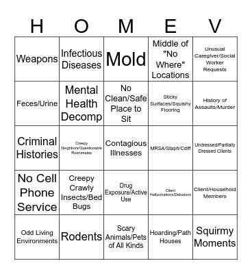 Home Visit Hazards Bingo Card