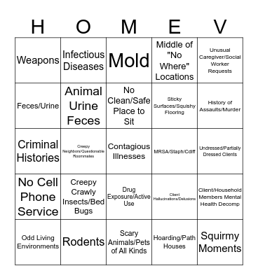 Home Visit Hazards Bingo Card
