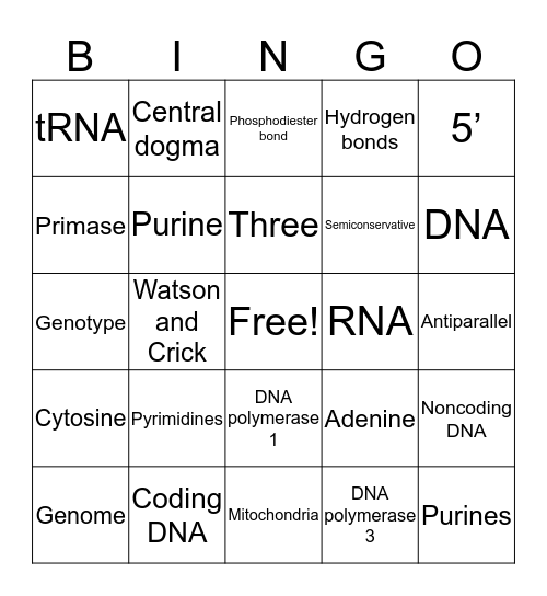 Chapter 10 and 11 Bingo Card