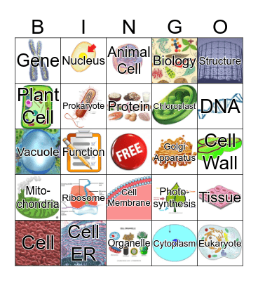 Cell Bingo Card