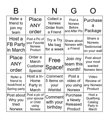 Michelle Hayden, Norwex Independent Sales Consultant Bingo Card