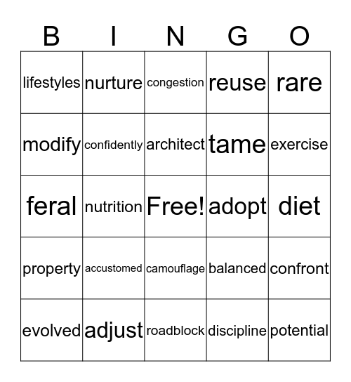 Sidewalks Level E Bingo Card