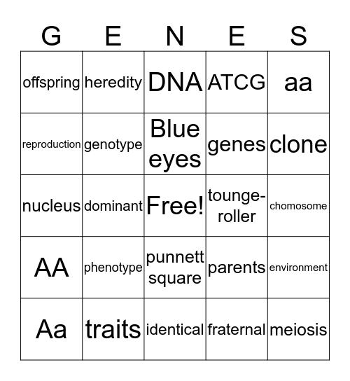 Genetics Bingo Card