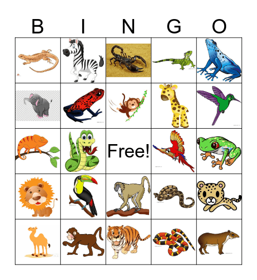 Desert & Rainforest Animal Bingo Card