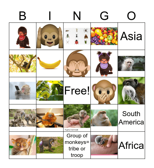 Monkey Bingo Card
