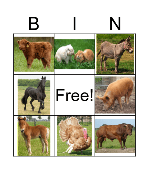 Boerderijdieren Bingo Card