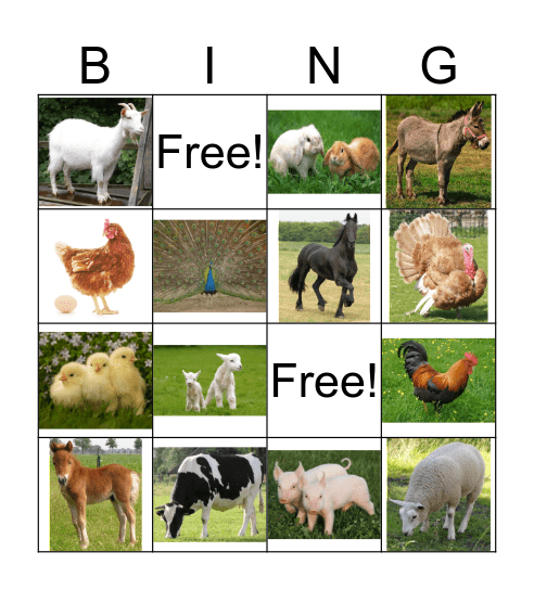 Boerderijdieren Bingo Card