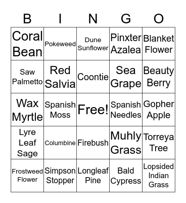 FNPS Common/Scientific Name Bingo Card