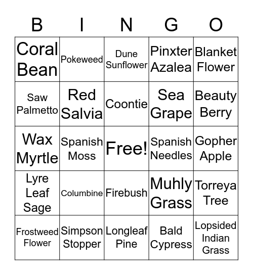 FNPS Common/Scientific Name Bingo Card