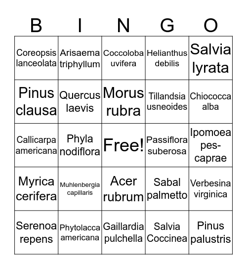 FNPS Scientific to Common Names Bingo Card
