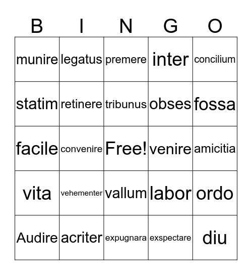 Latin Henle 1 Bingo Card