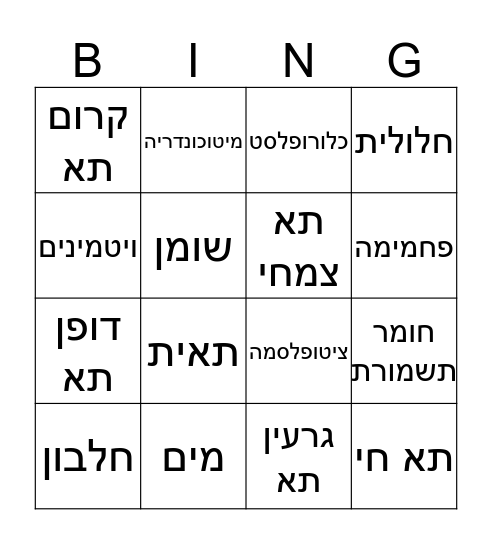 בינגו מרכיבי התא Bingo Card