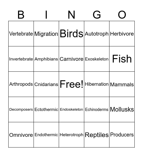 Animals Bingo Card