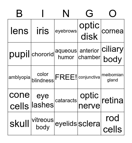 The Eyes Bingo Card