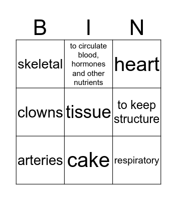 circulatory system bingo Card