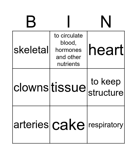 circulatory system bingo Card