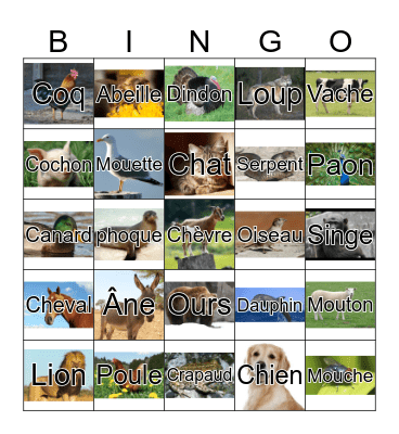 Animals Bingo Card