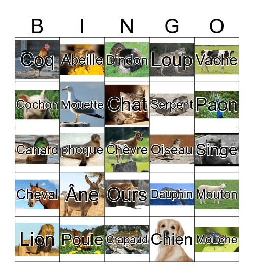 Animals Bingo Card