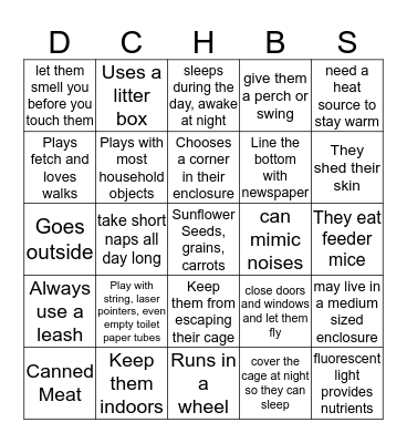 Pet Facts Bingo Card