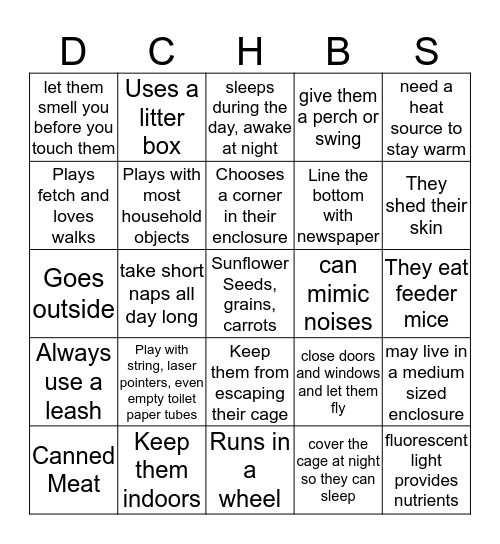 Pet Facts Bingo Card