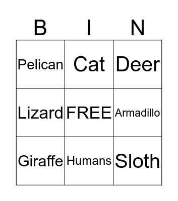 Animal Adaptations Bingo Card