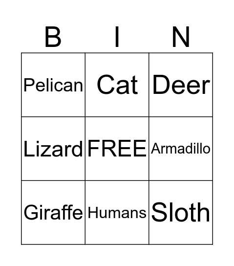 Animal Adaptations Bingo Card