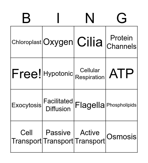 UNIt 5 Bingo Card