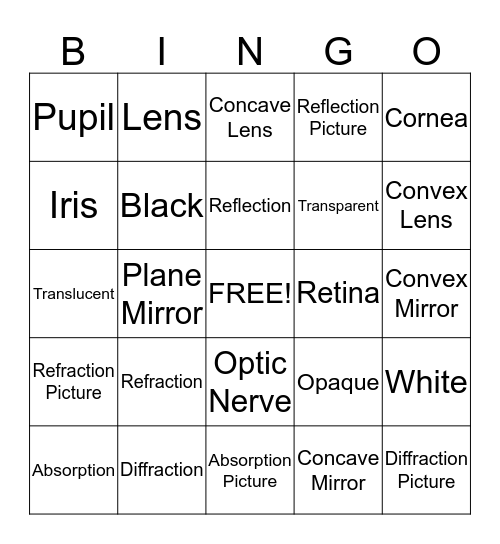 Human Eye and Light Bingo Card