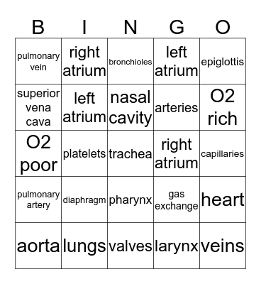 Circulatory/Respiratory Body Systems Bingo Card