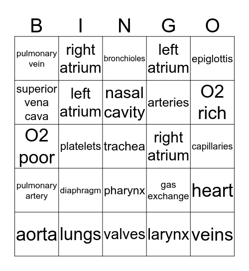 Circulatory/Respiratory Body Systems Bingo Card
