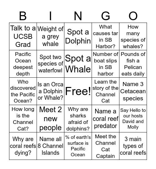 Channel Cat Bingo  Bingo Card